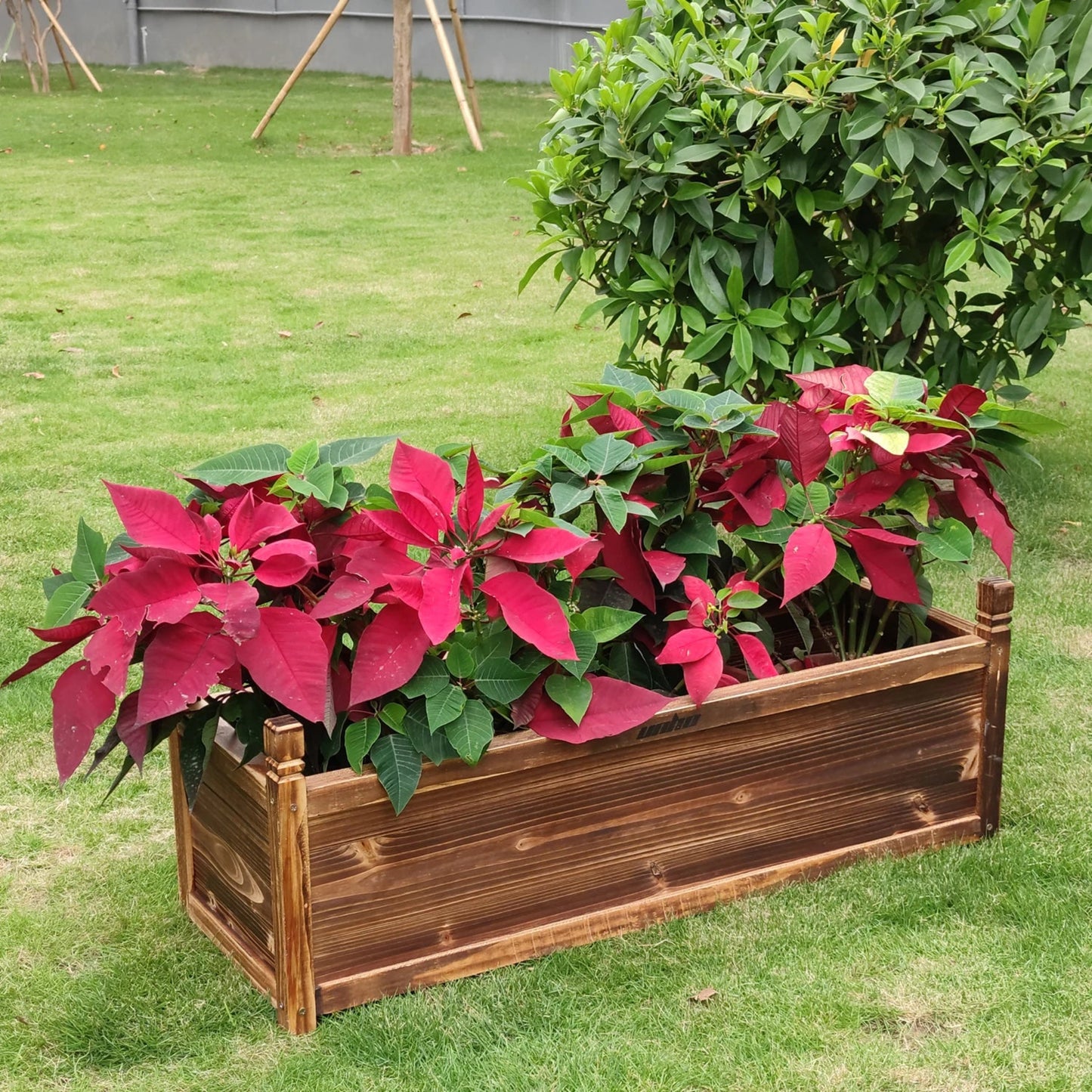 Raised Garden Bed Flower or Vegetable Planter  Plant Box for Garden, Yard Wood Box for Planting