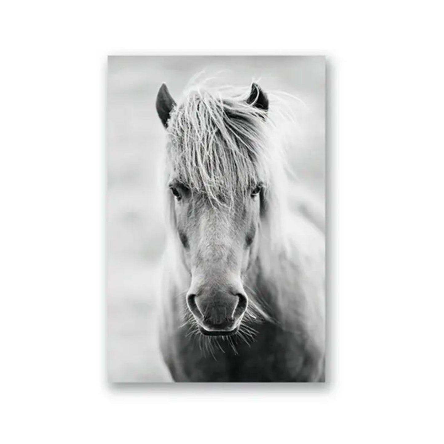 Horse Black and White Photo Poster, Rustic Farm Wall Art, Animal Prints, Canvas Painting Picture, Ideal for Home Room Wall Decor