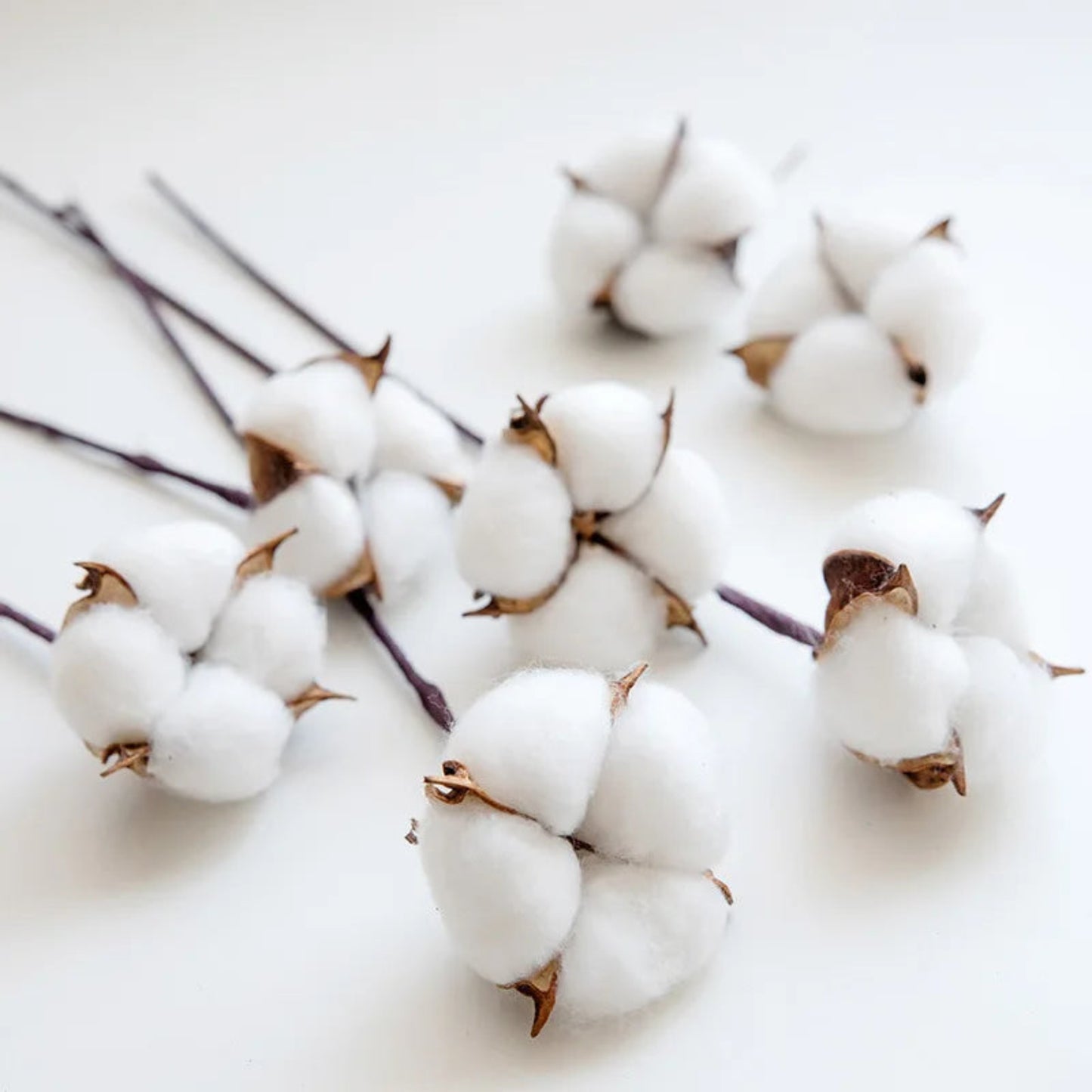 10pcs Cotton Head Natural Dried Flower Artificial Flower Cotton Home Christmas Decor DIY dried cotton bunch flower arrangement