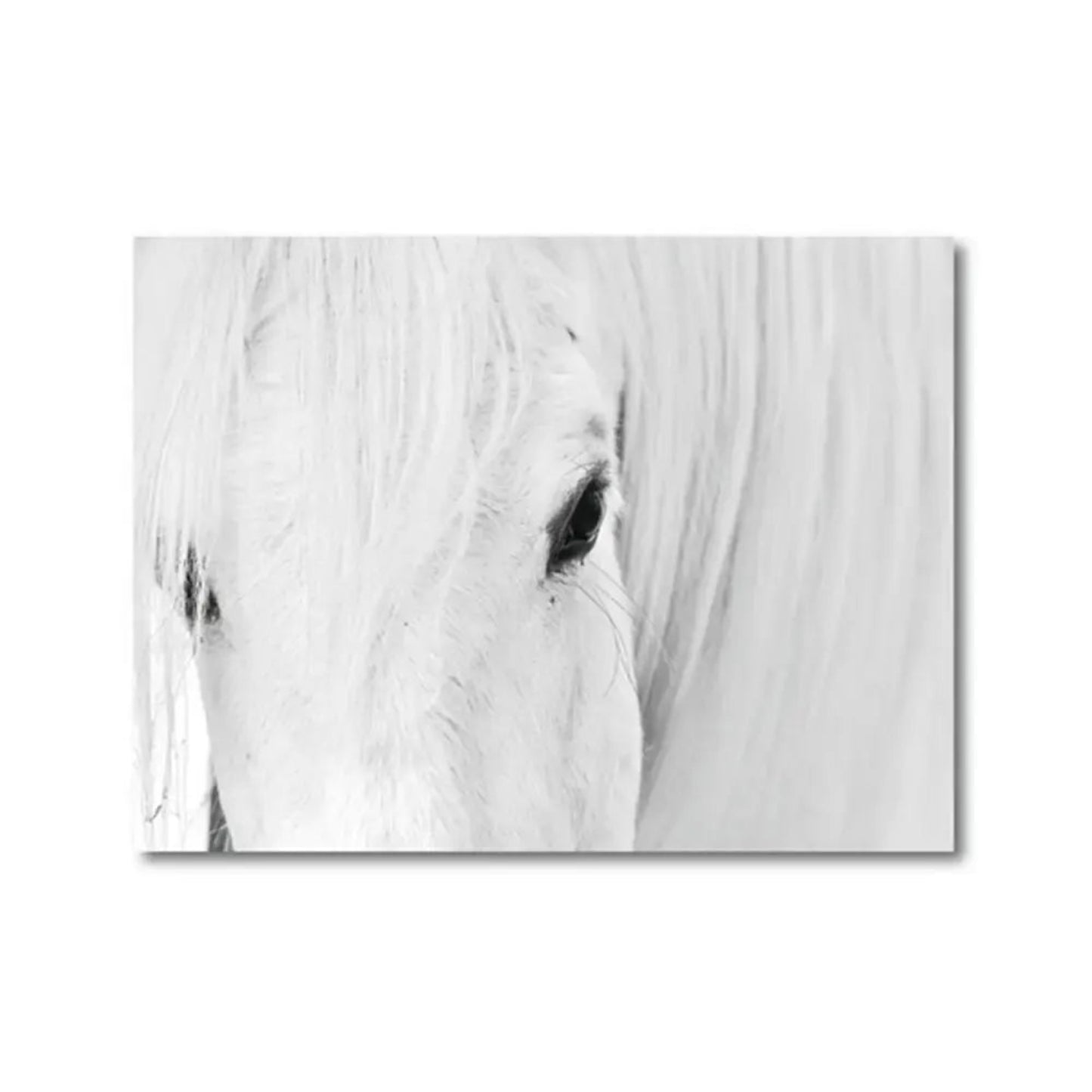 Horse Black and White Photo Poster, Rustic Farm Wall Art, Animal Prints, Canvas Painting Picture, Ideal for Home Room Wall Decor