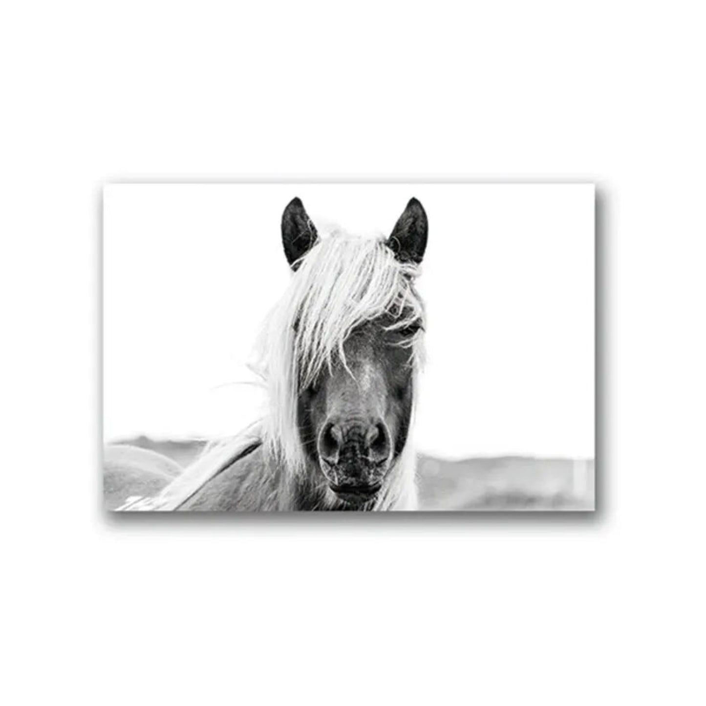 Horse Black and White Photo Poster, Rustic Farm Wall Art, Animal Prints, Canvas Painting Picture, Ideal for Home Room Wall Decor