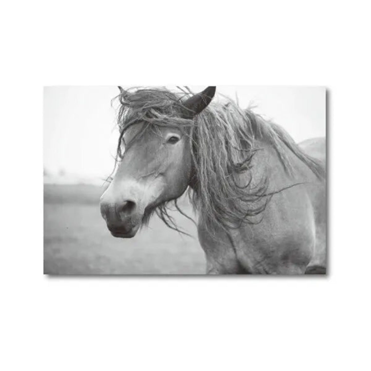 Horse Black and White Photo Poster, Rustic Farm Wall Art, Animal Prints, Canvas Painting Picture, Ideal for Home Room Wall Decor