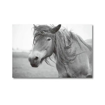 Horse Black and White Photo Poster, Rustic Farm Wall Art, Animal Prints, Canvas Painting Picture, Ideal for Home Room Wall Decor
